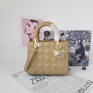 Dior Lady Bag Small
