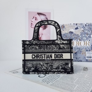 Dior Book Tote Mini