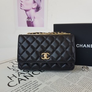 Chanel Fashion CCwoc Bag